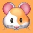 吃瓜大赛校园大赛APP应用